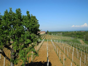 Hotels in Mombaruzzo